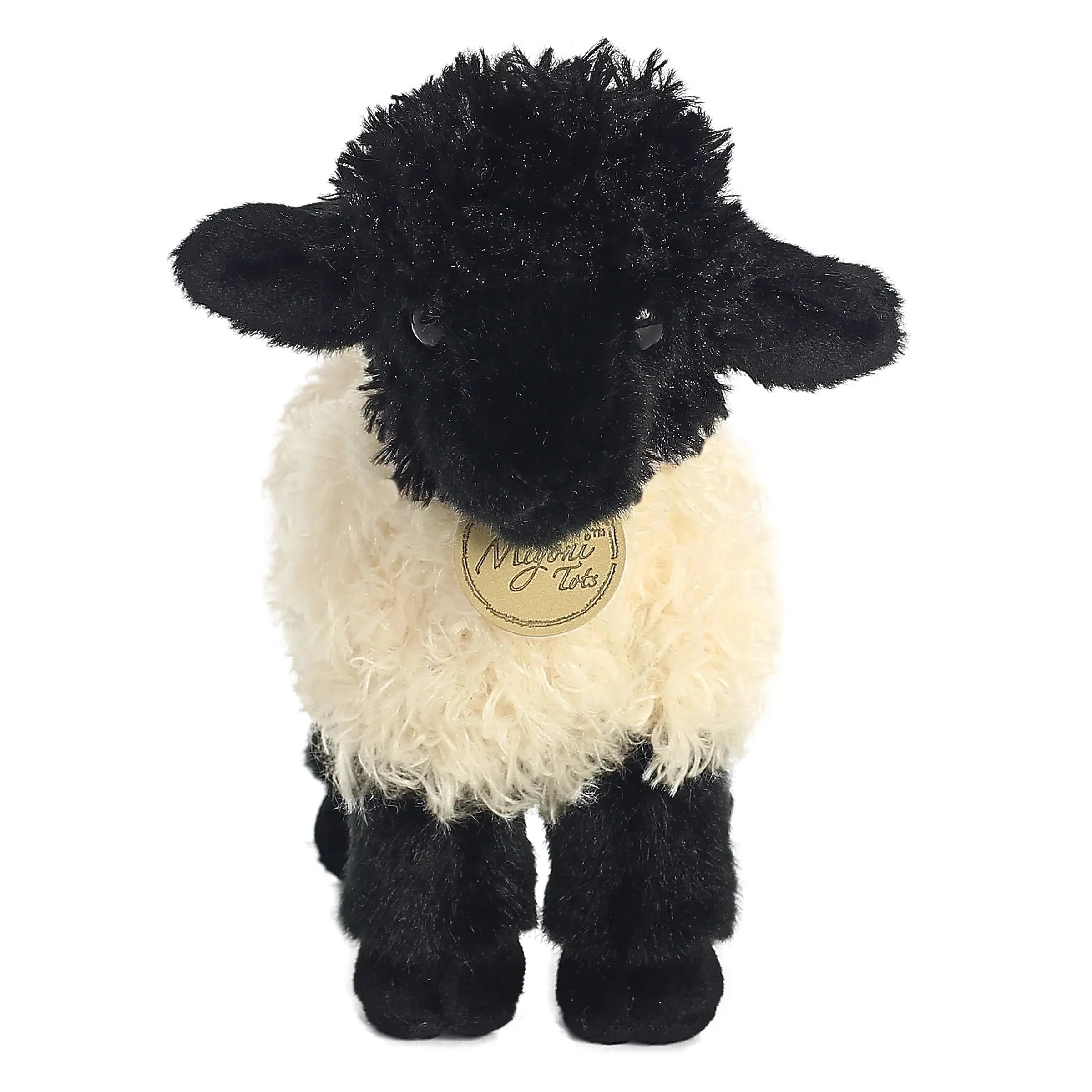 Aurora - Miyoni - Suffolk Lamb