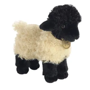Aurora - Miyoni - Suffolk Lamb