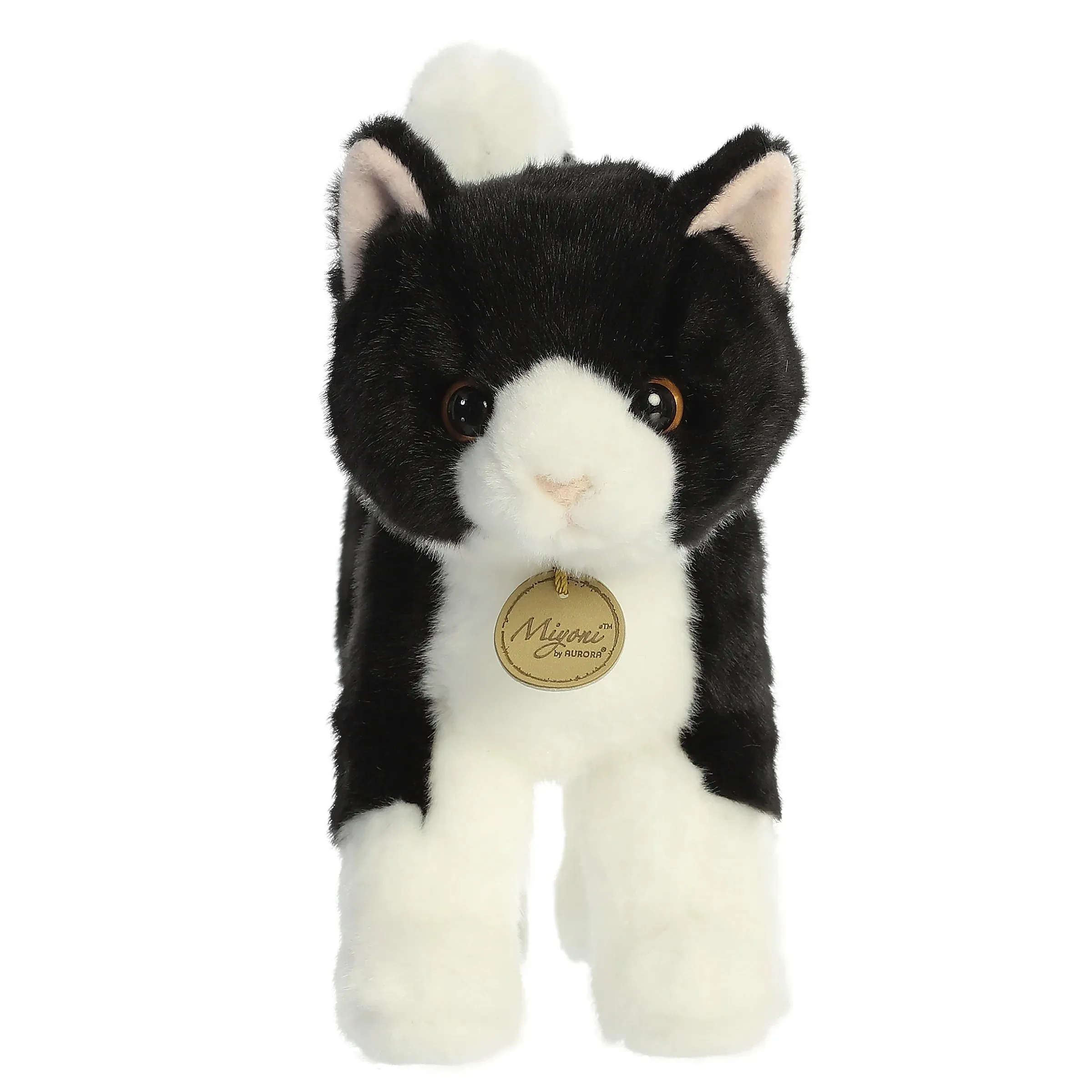 Aurora - Miyoni - Tuxedo Cat