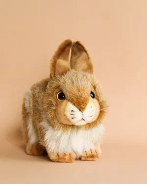 Brown Bunny Stuffed Animal