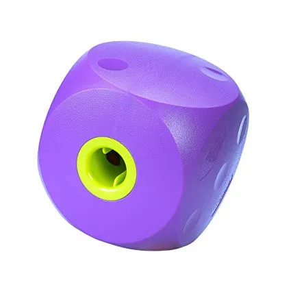 Buster Mini Food Cube