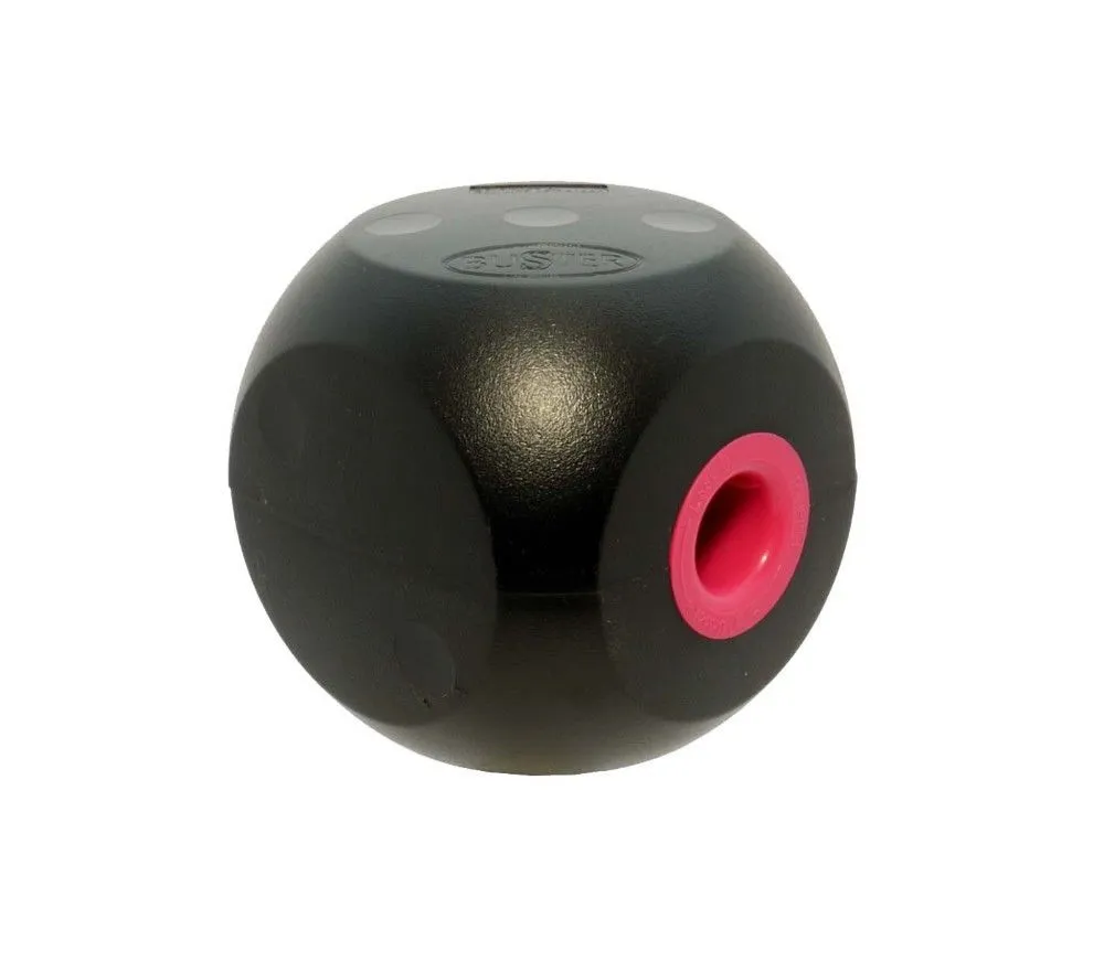Buster Mini Food Cube