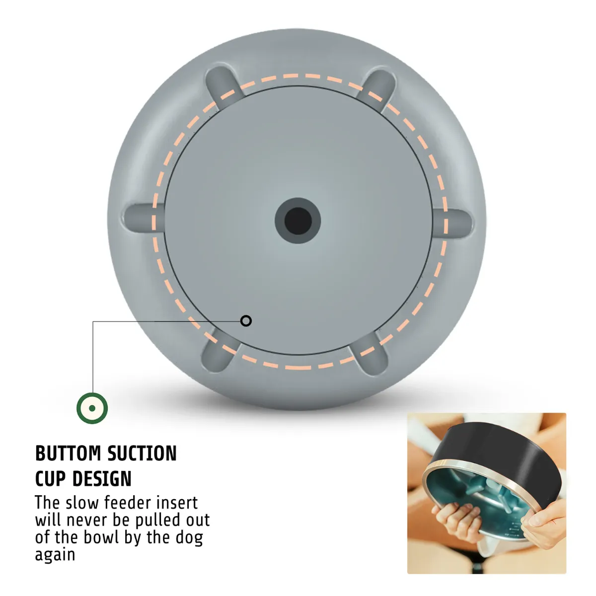 Dazy Dog Slow Feeder Insert