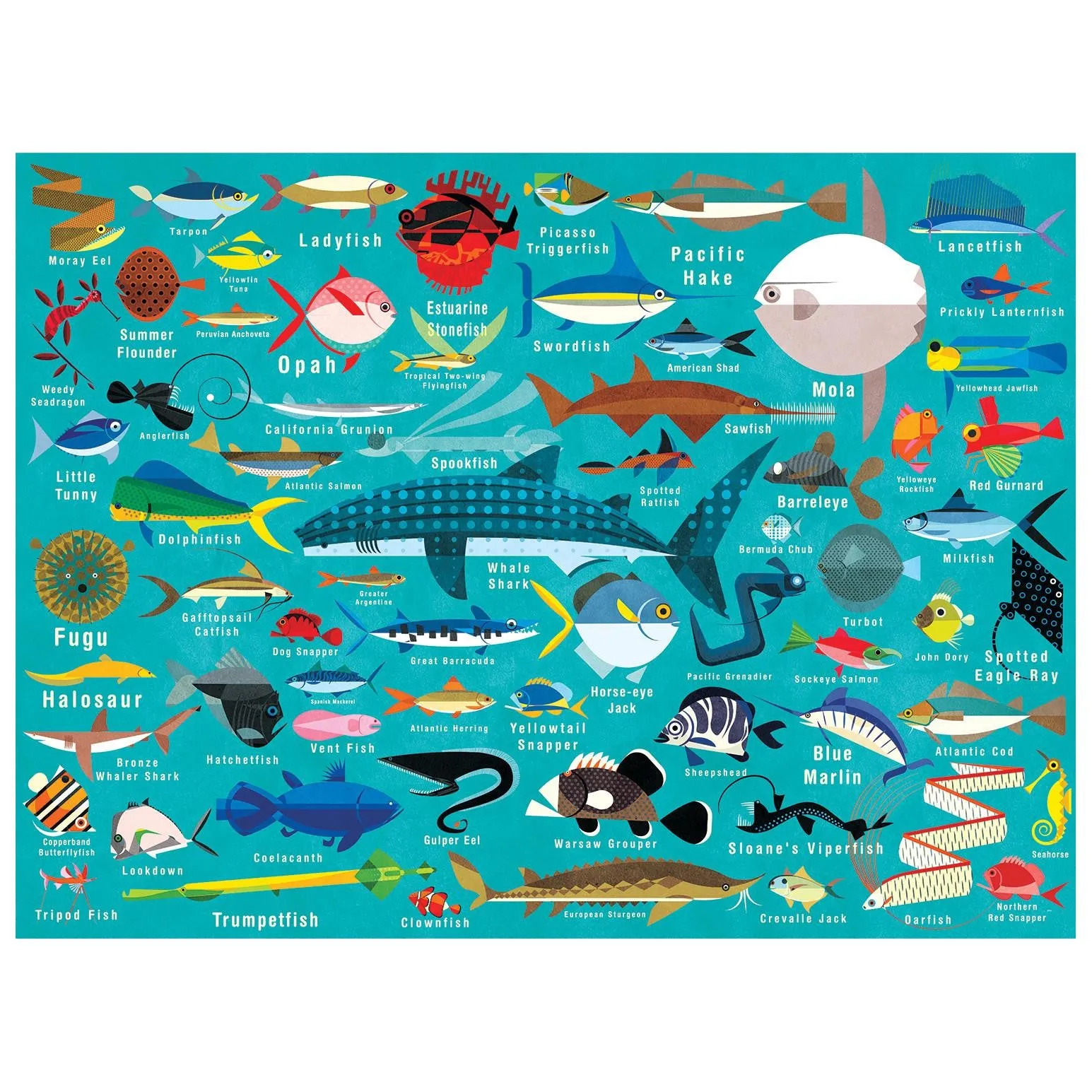 Ocean Life 1000pc Family Puzzle