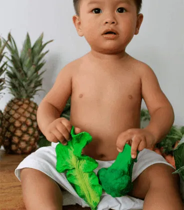 Oli and Carol Baby Teether Kendall the Kale