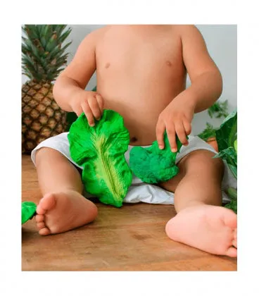 Oli and Carol Baby Teether Kendall the Kale