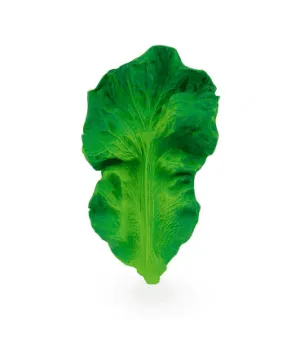 Oli and Carol Baby Teether Kendall the Kale