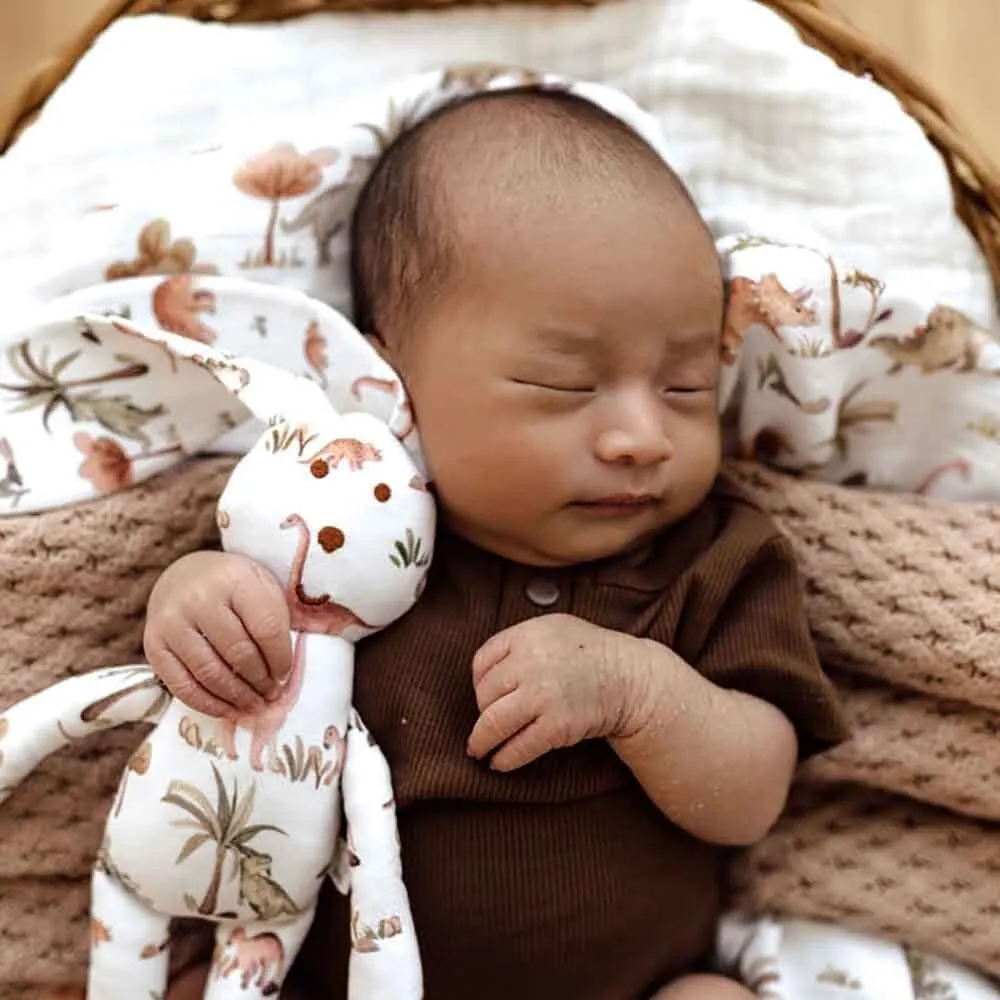 Organic Snuggle Bunny - Dinosaurs