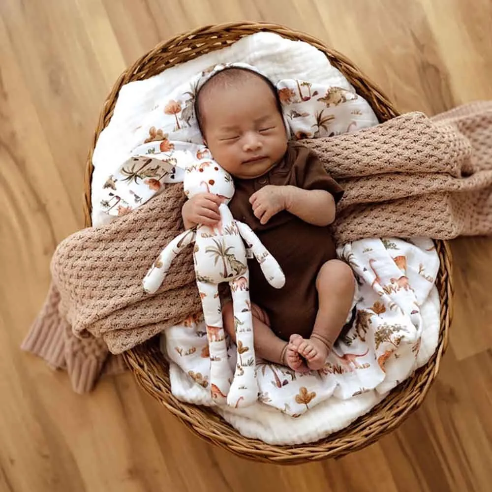 Organic Snuggle Bunny - Dinosaurs