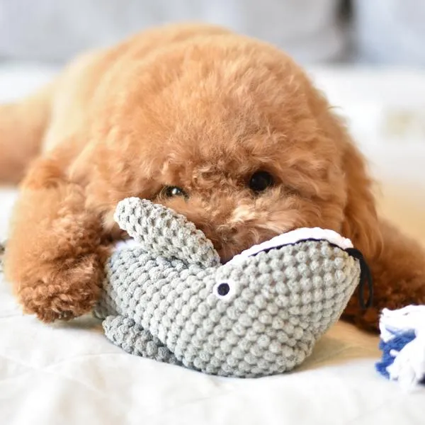 Patchwork Dog Dolphin 10 Inch