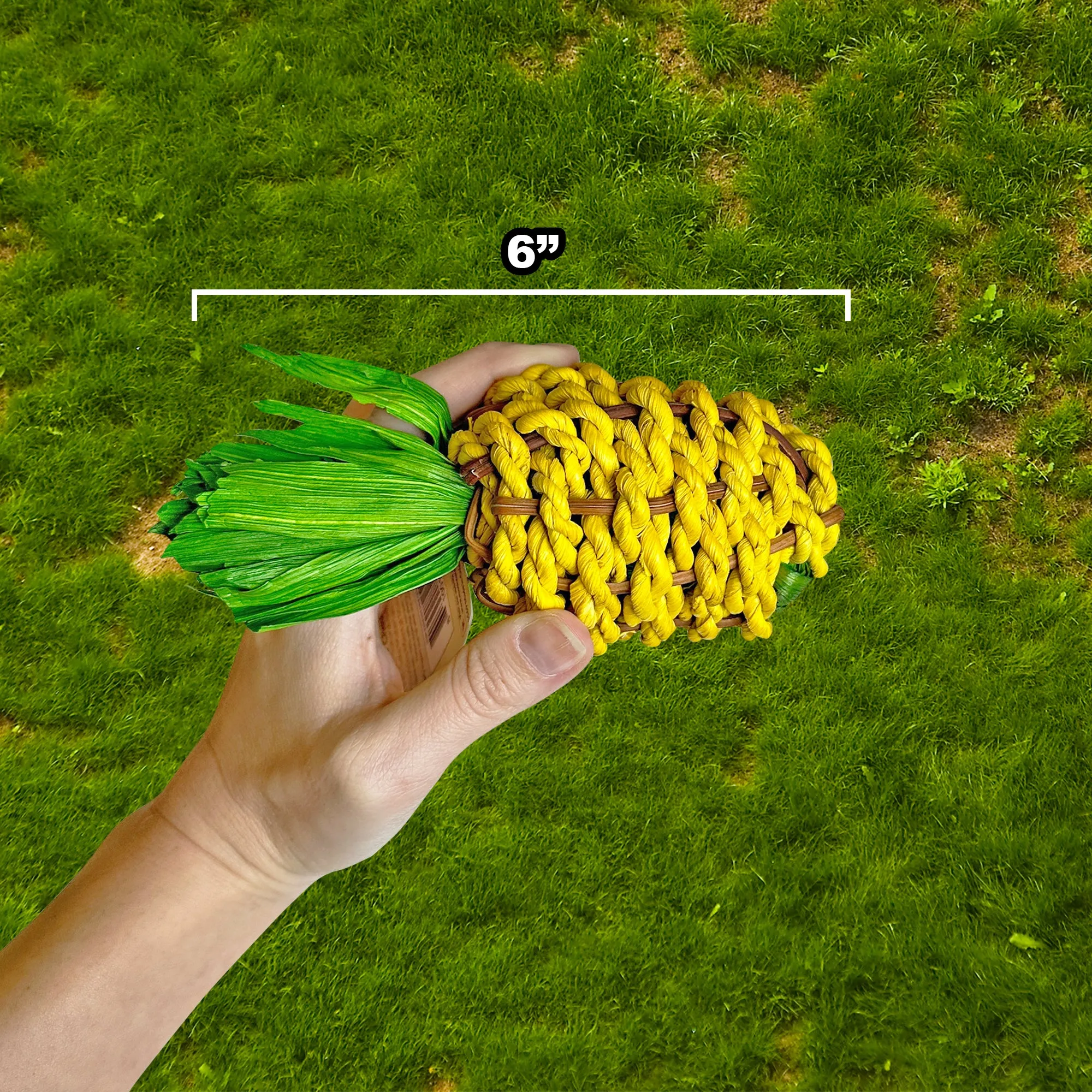 Pineapple Chew