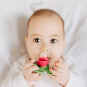 Ramonita The Radish Chewy Teether