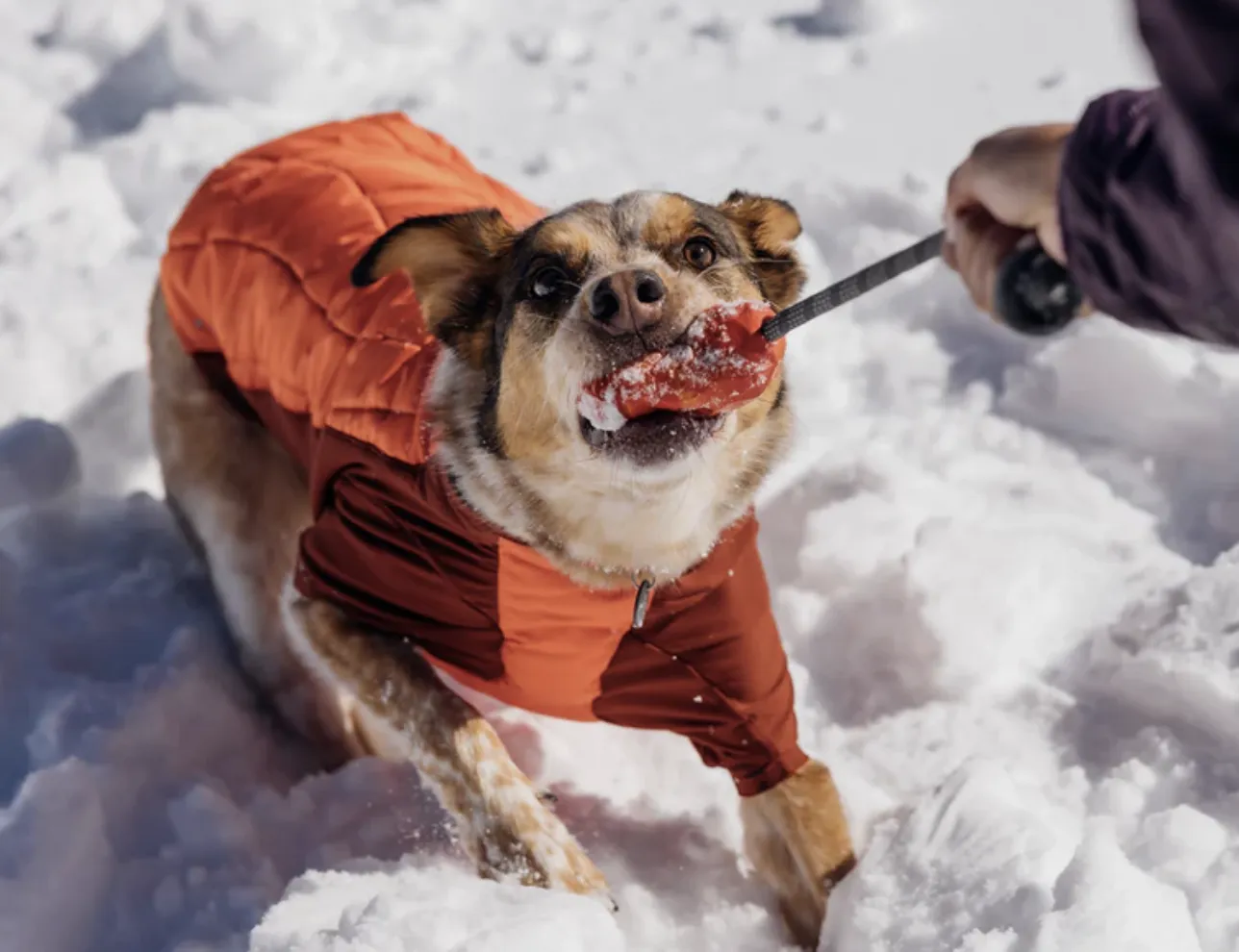 Ruffwear Huck-A-Cone