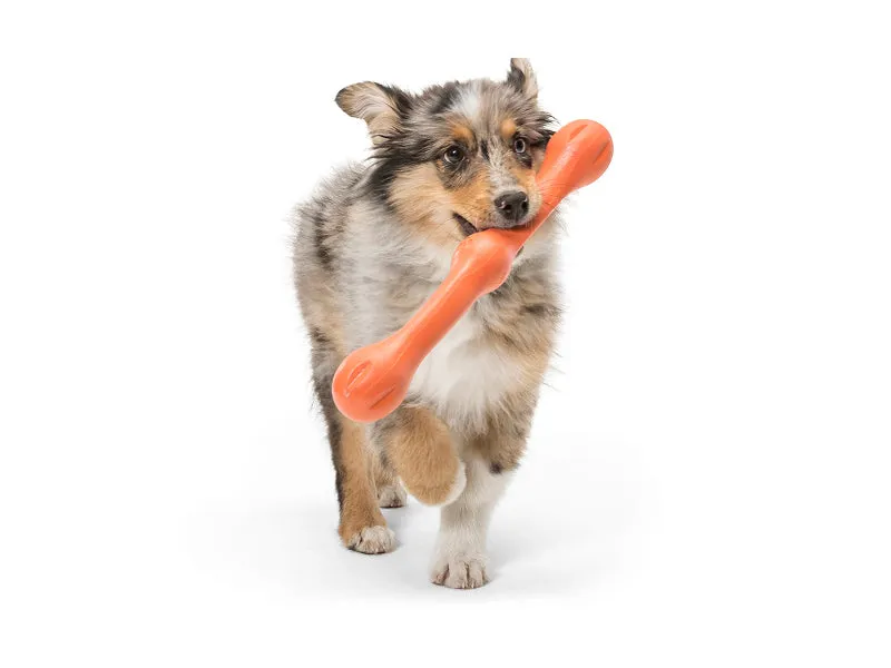 The Zwig™ Bouncy Stick