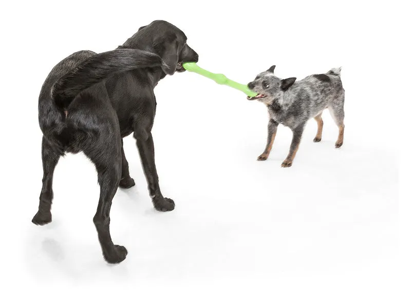The Zwig™ Bouncy Stick