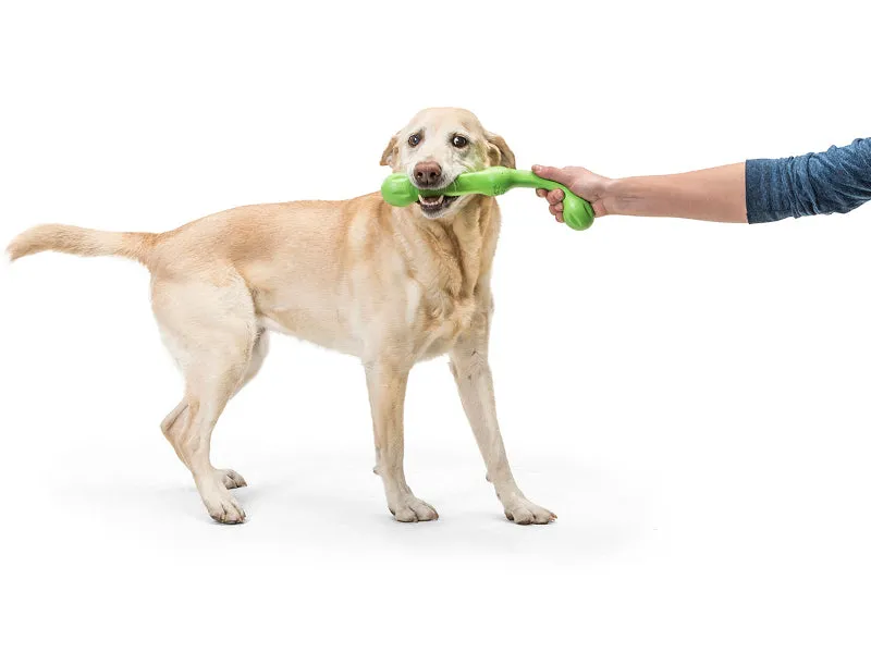 The Zwig™ Bouncy Stick