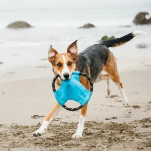Zippy Paws Rope Gliderz - Blue